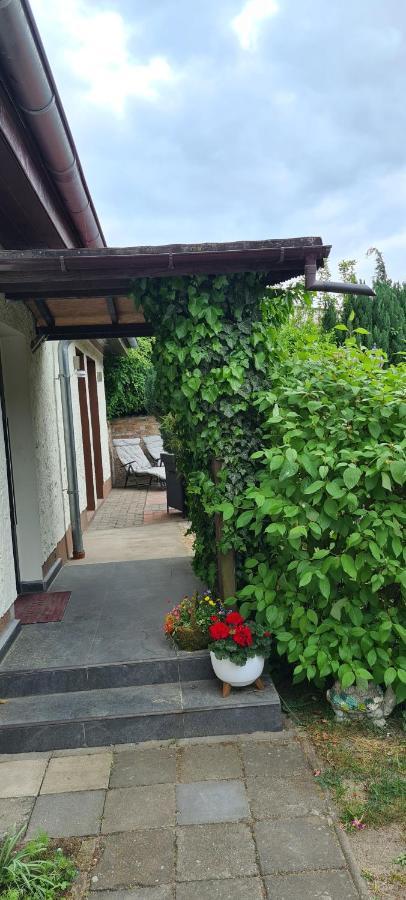 Ferienwohnung Hampel Altglietzen Dış mekan fotoğraf